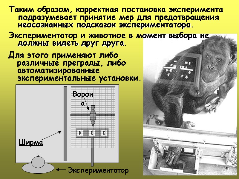 Таким образом, корректная постановка эксперимента подразумевает принятие мер для предотвращения неосознанных подсказок экспериментатора. 